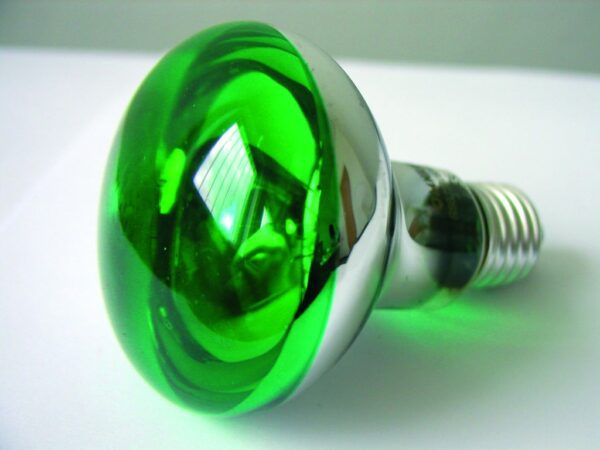 Omnilux R80 230V/60W E-27, zelená - Image 3