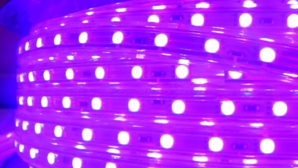 LED páska SMD5050, RGB, AC220V, 60 LED/m, IP65, cena/1m, balení 50m - Image 4