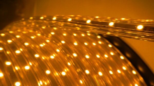 LED páska SMD 3528, teplá bílá, AC220V, 1m, 60 LED/m, IP65 - Image 5