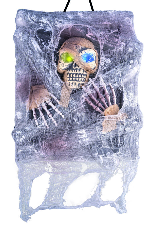 Halloween dekorace na stěnu kostra v pavučině, 43 cm