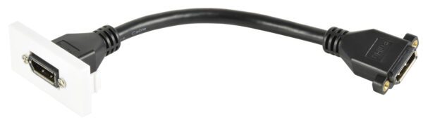 AV:Link modul nástěnného rámečku, DisplayPort