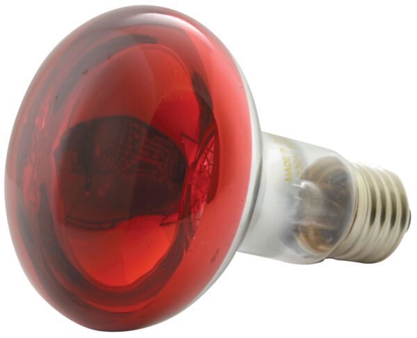 QTX R80 230V/60W E27, červená