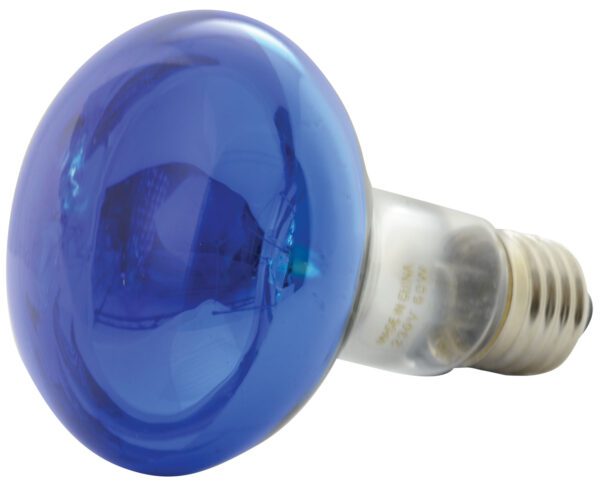 QTX R80 230V/60W E27, modrá