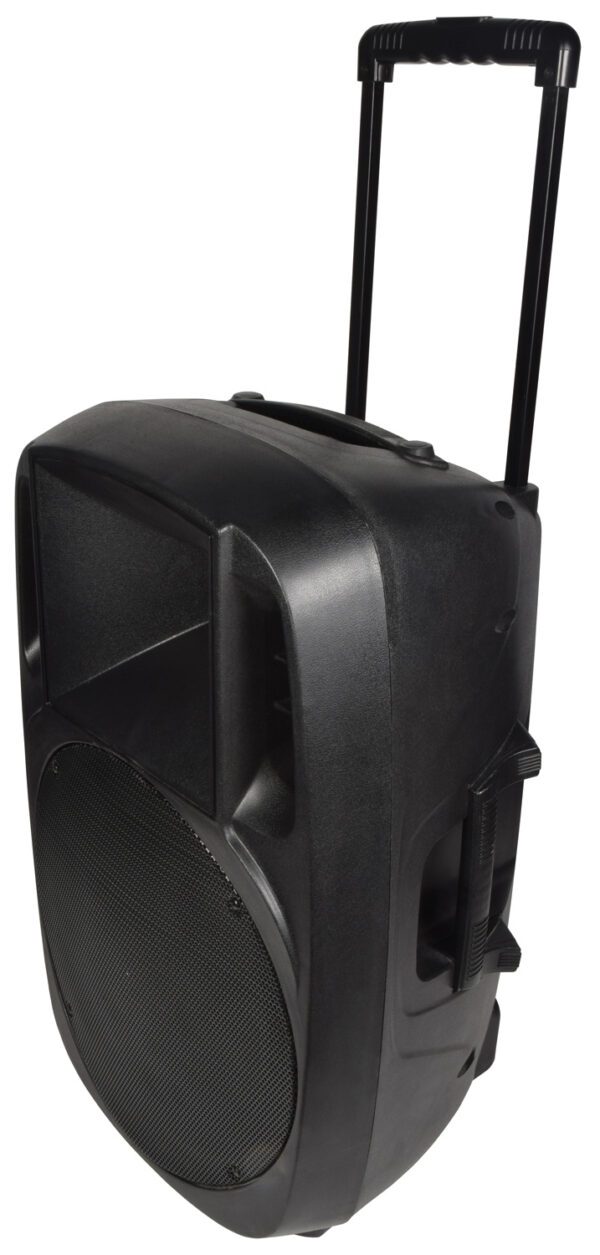 QTX XCAB-15, pasivní PA reprobox