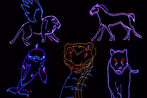 Citronic Animate Smart, RGB animační laser - Image 3