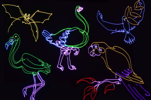 Citronic Animate Smart, RGB animační laser - Image 4