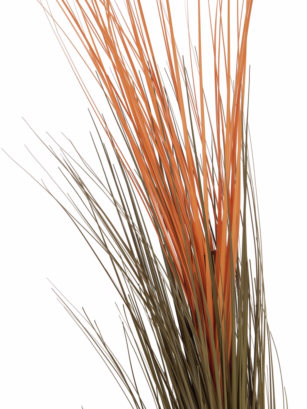 Europalms rákos, světle hnědý, umělý, 127 cm - Obrázek 10