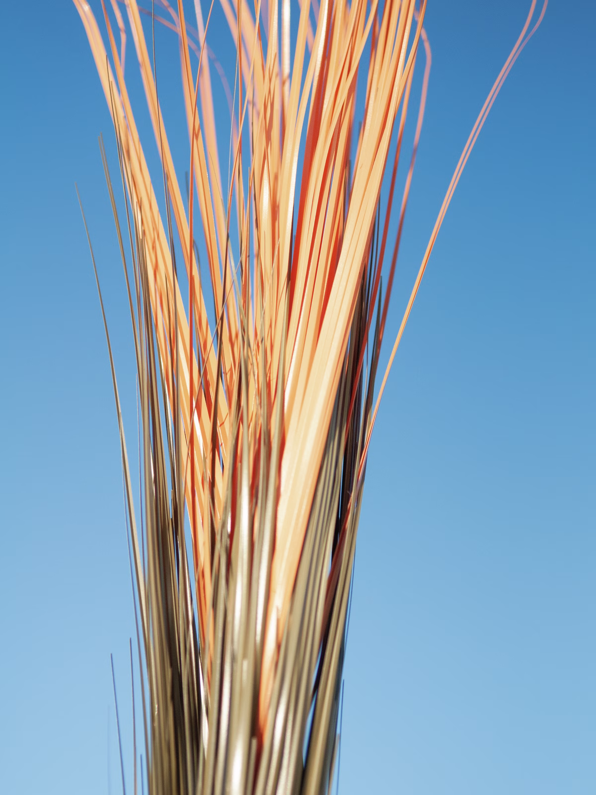Europalms rákos, světle hnědý, umělý, 127 cm - Obrázek 15