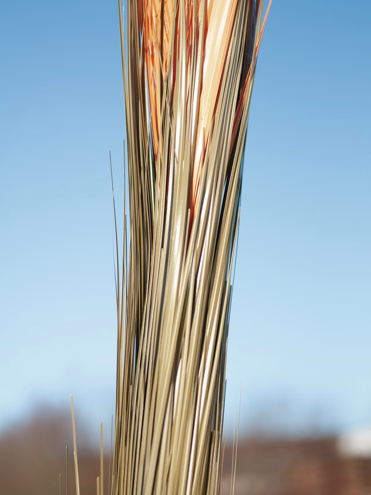 Europalms rákos, světle hnědý, umělý, 127 cm - Obrázek 16