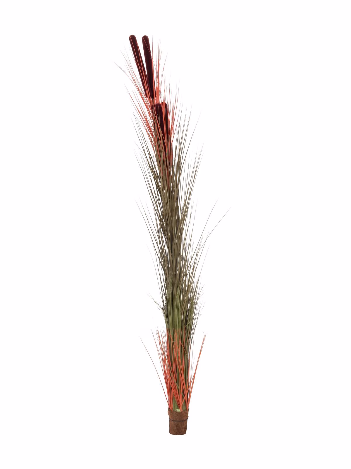 Europalms rákos s orobincem, světle hnědý, umělý, 152 cm - Obrázek 9