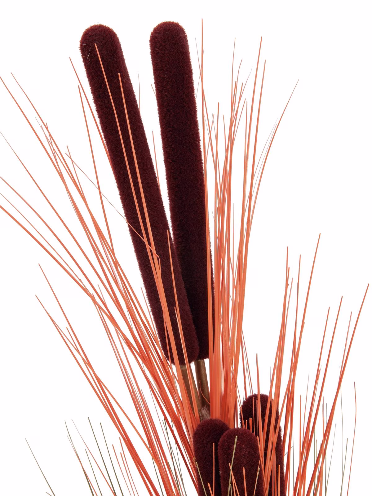 Europalms rákos s orobincem, světle hnědý, umělý, 152 cm - Obrázek 10