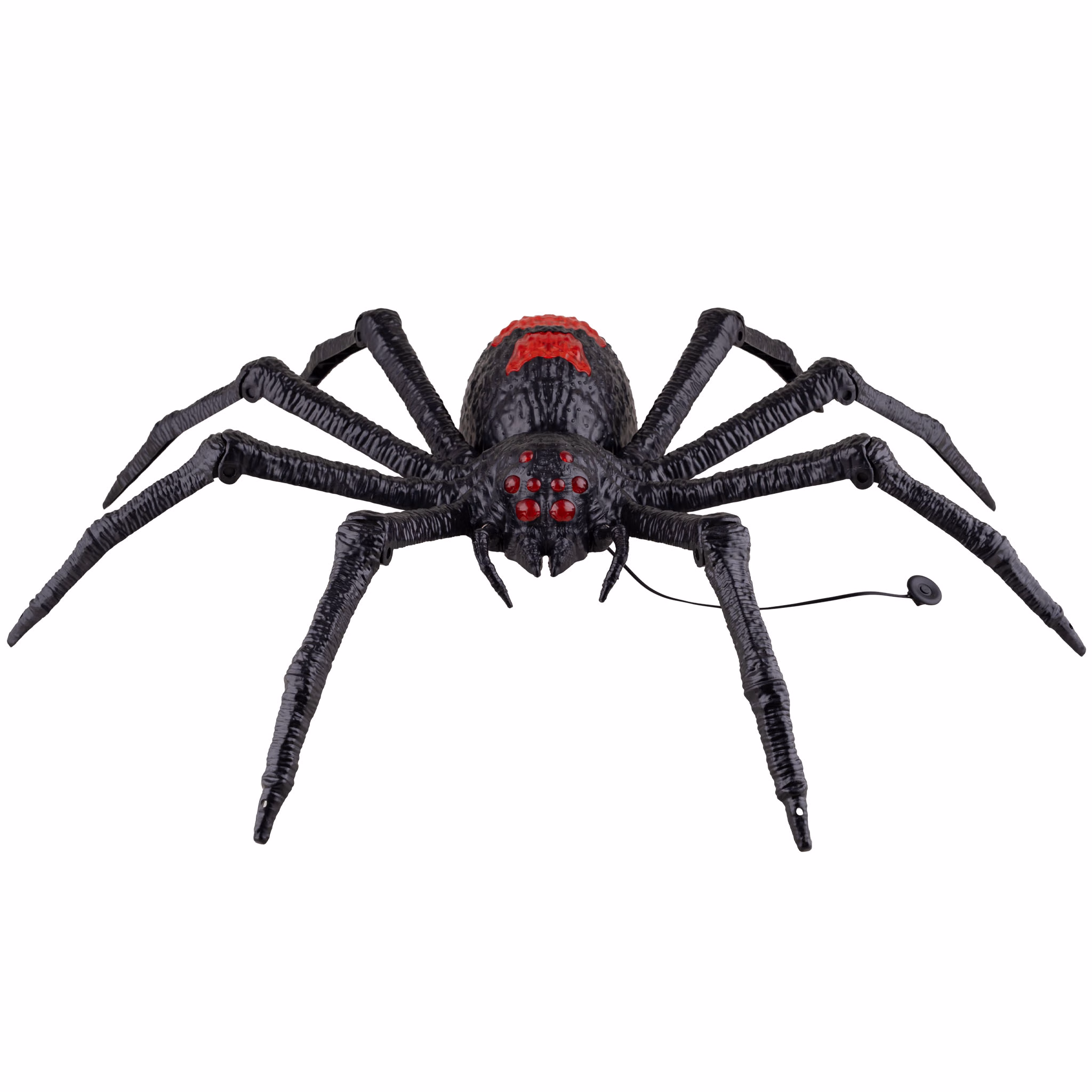 Tarantule
