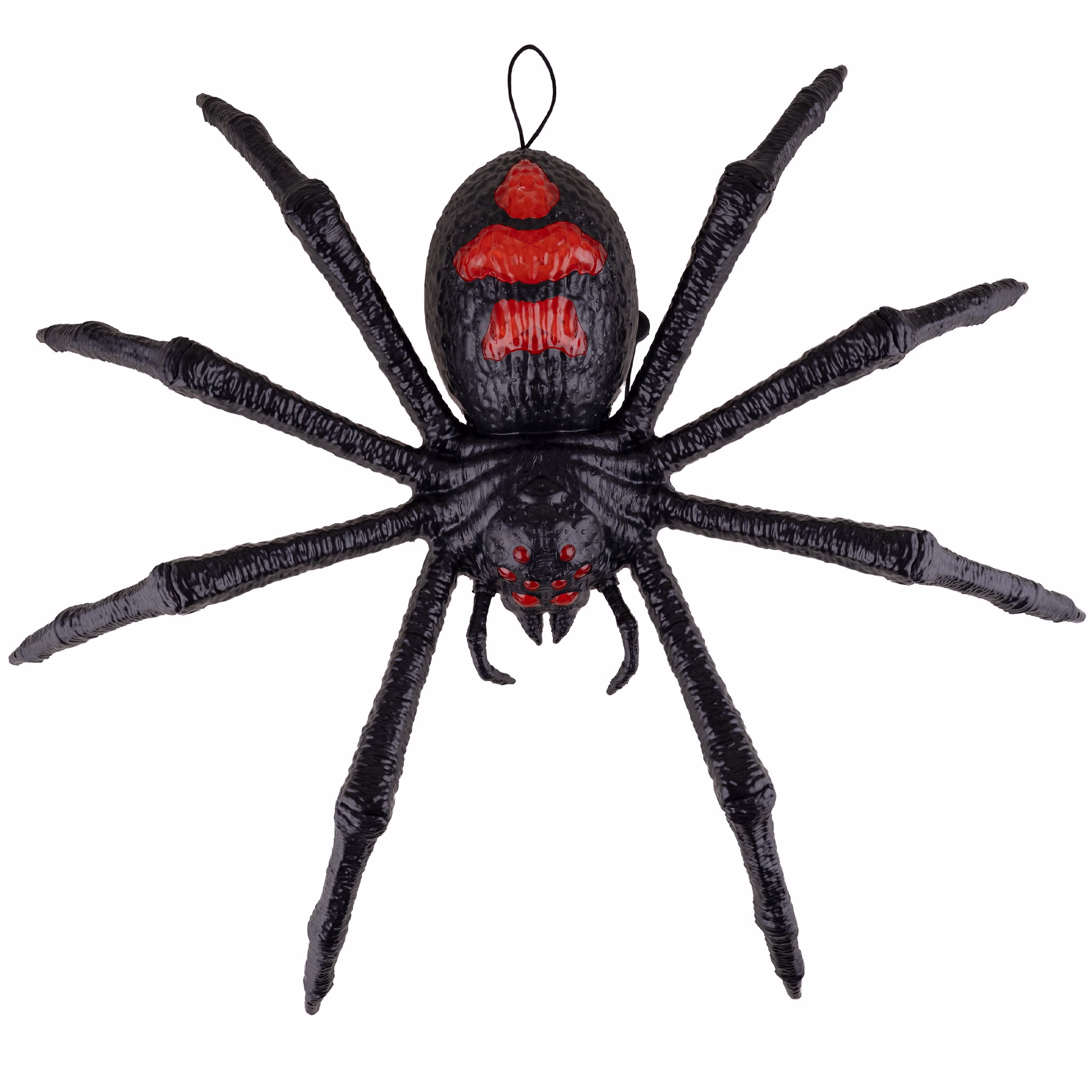 Tarantule - Obrázek 3