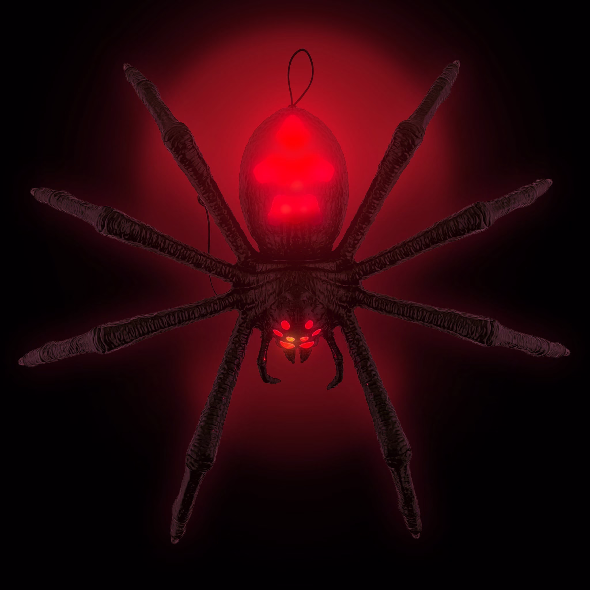 Tarantule - Obrázek 4