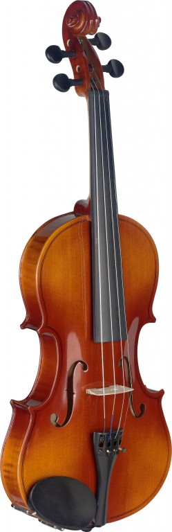 Stagg VN-4/4 L, housle s pouzdrem