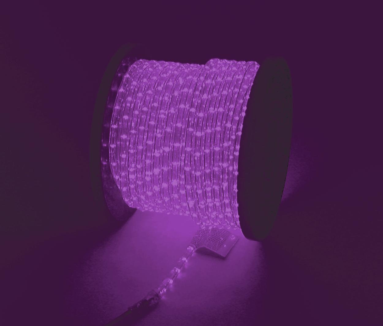 50506065_01