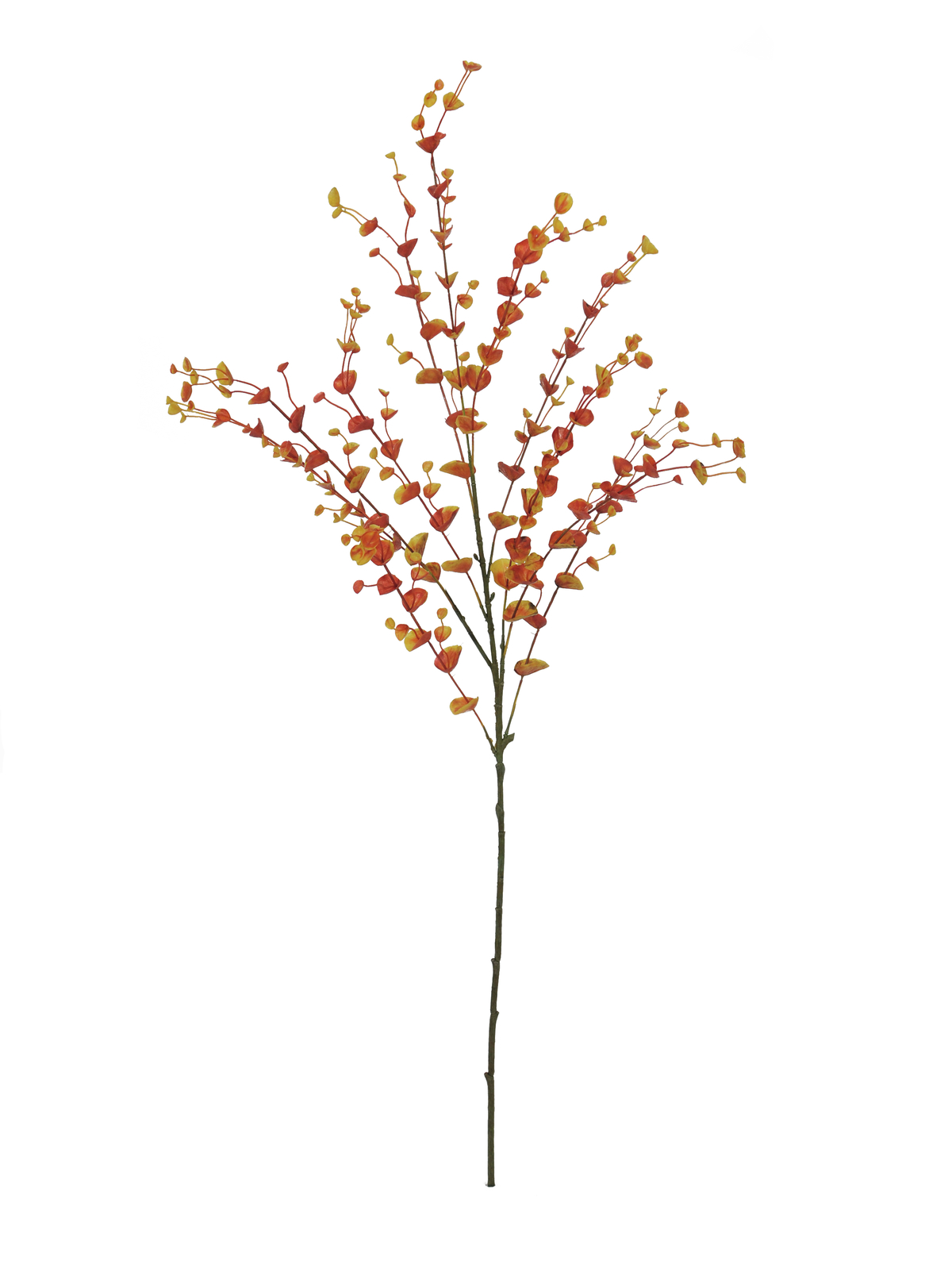 Eukalypt větvička, oranžová, 110 cm