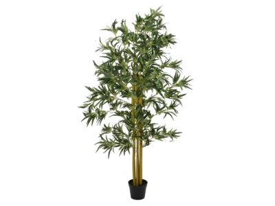 Bambus multi kmen 180 cm