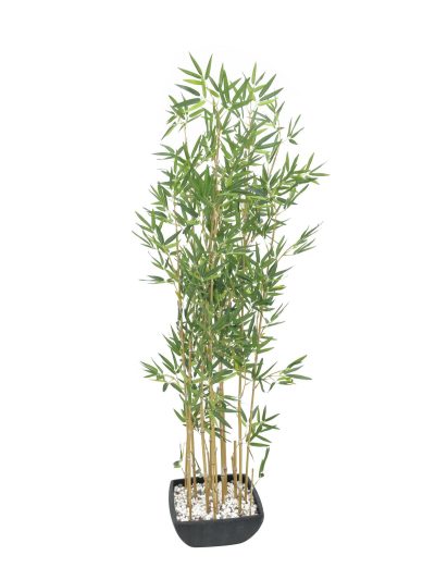 EUROPALMS Bambus v misce, umělý, 150cm