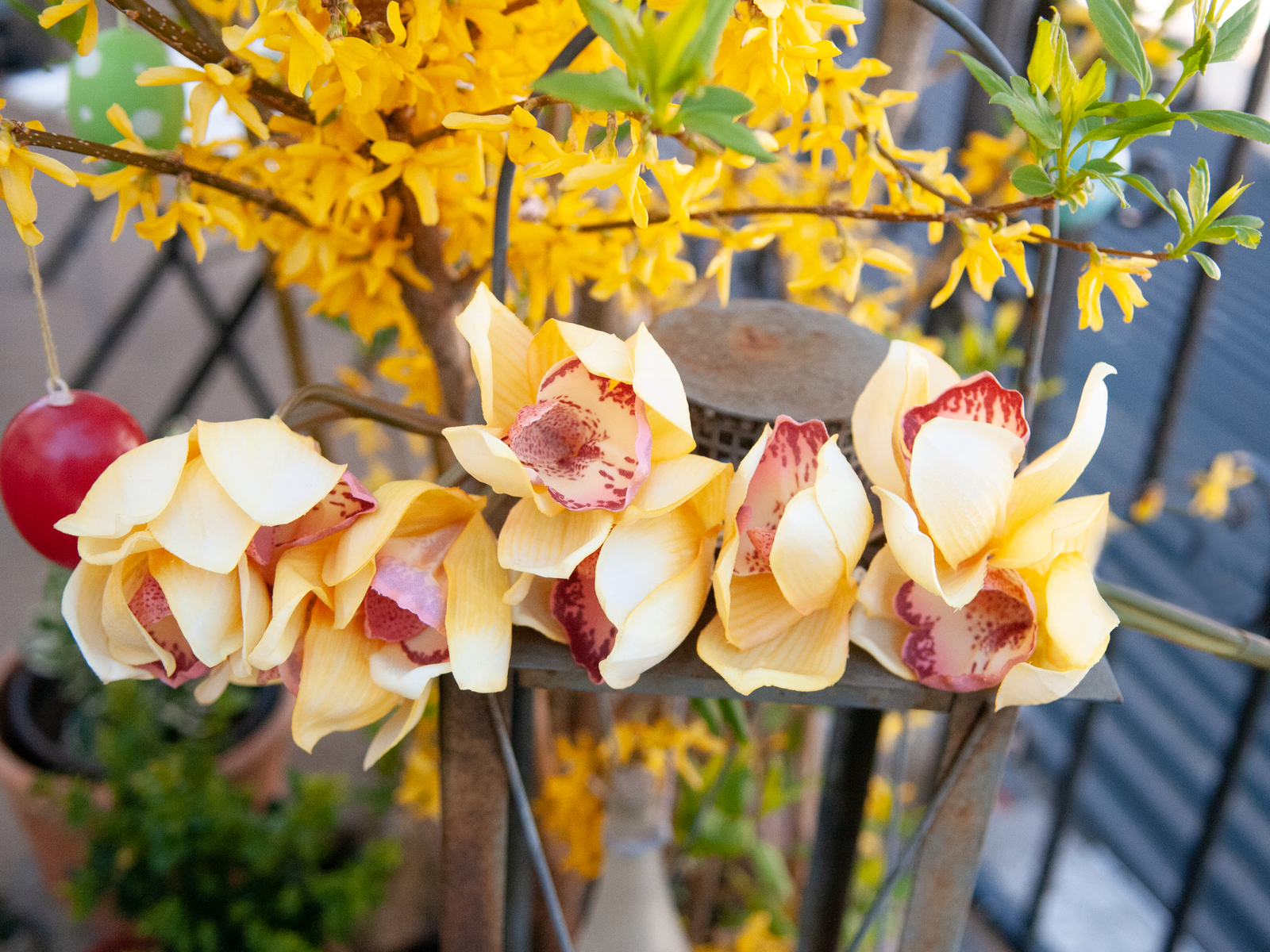 Orchidej větvička, žlutá, 90 cm - Obrázek 5