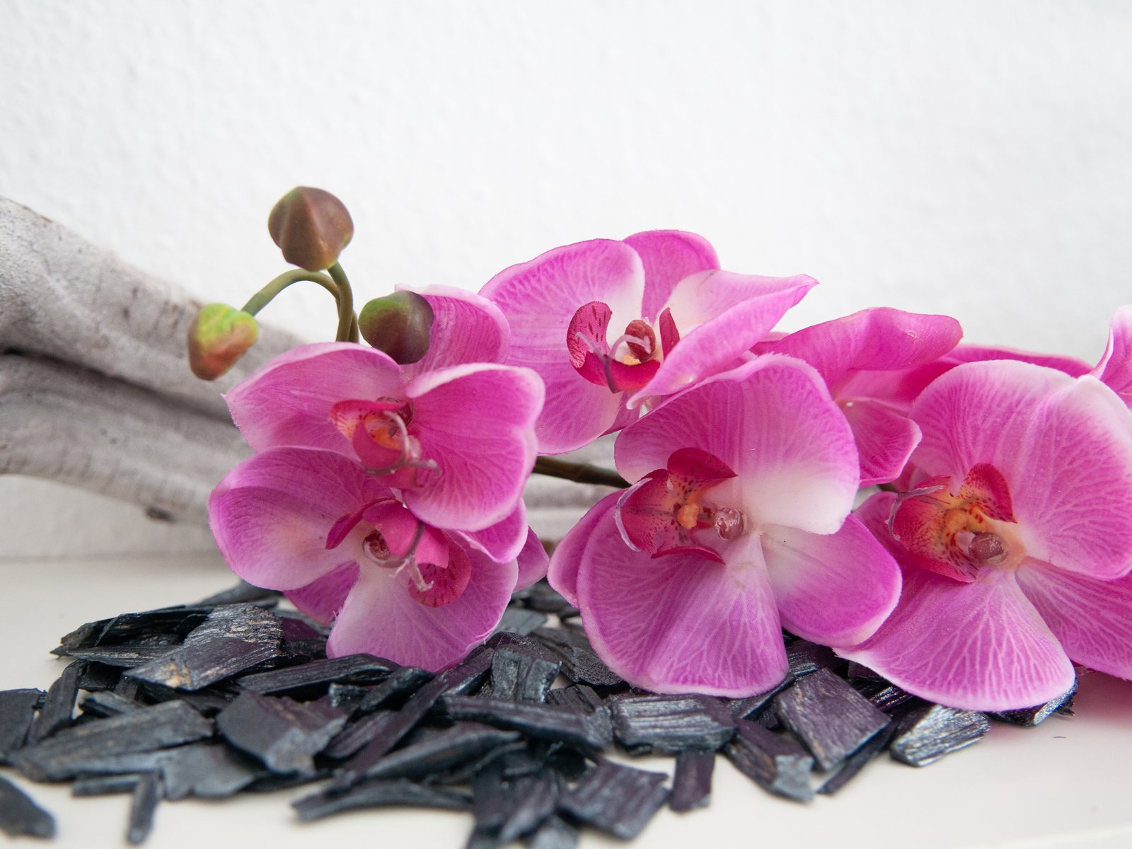 Orchidej větvička fialová, 100 cm - Obrázek 4