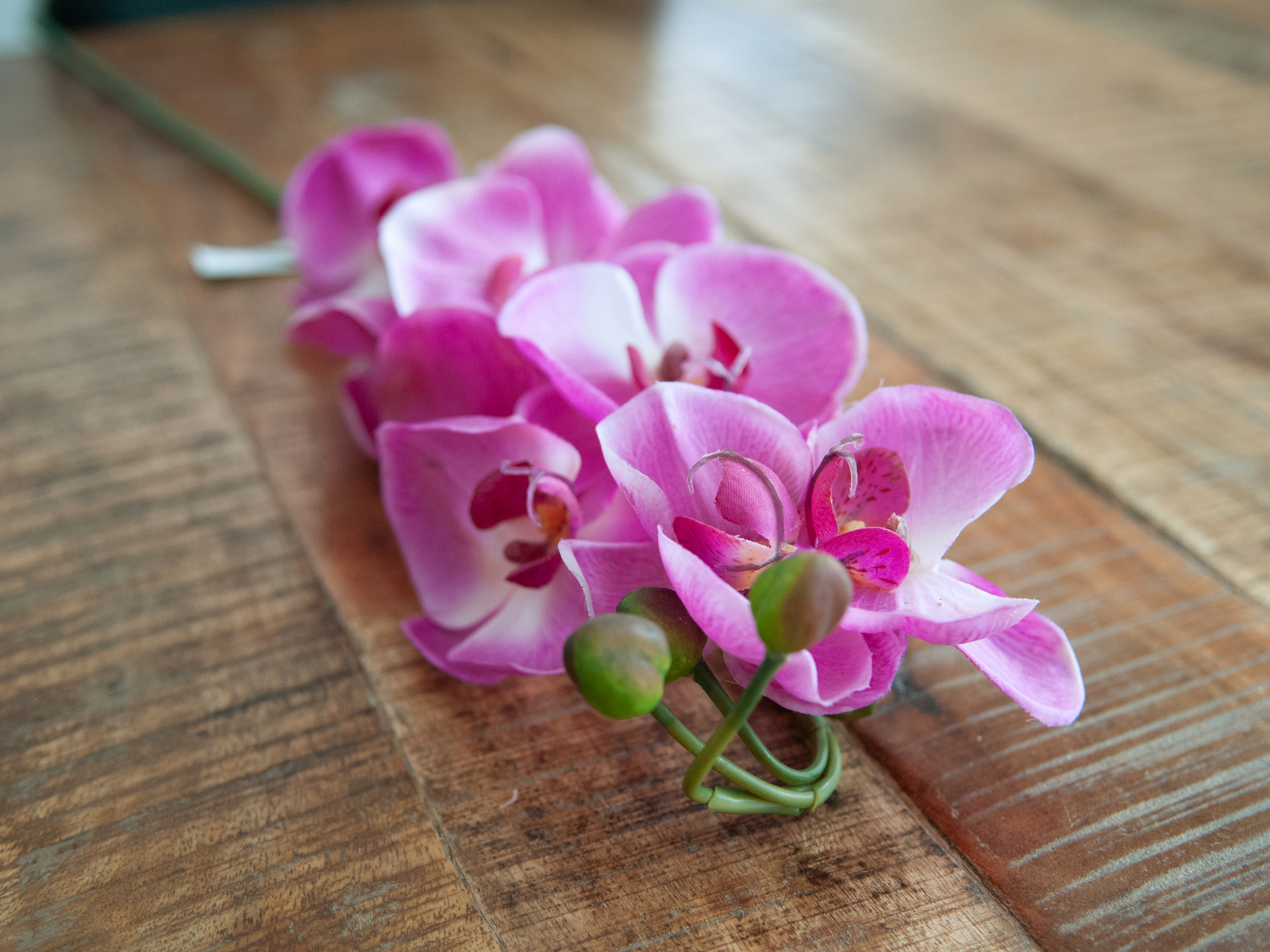 Orchidej větvička fialová, 100 cm - Obrázek 7