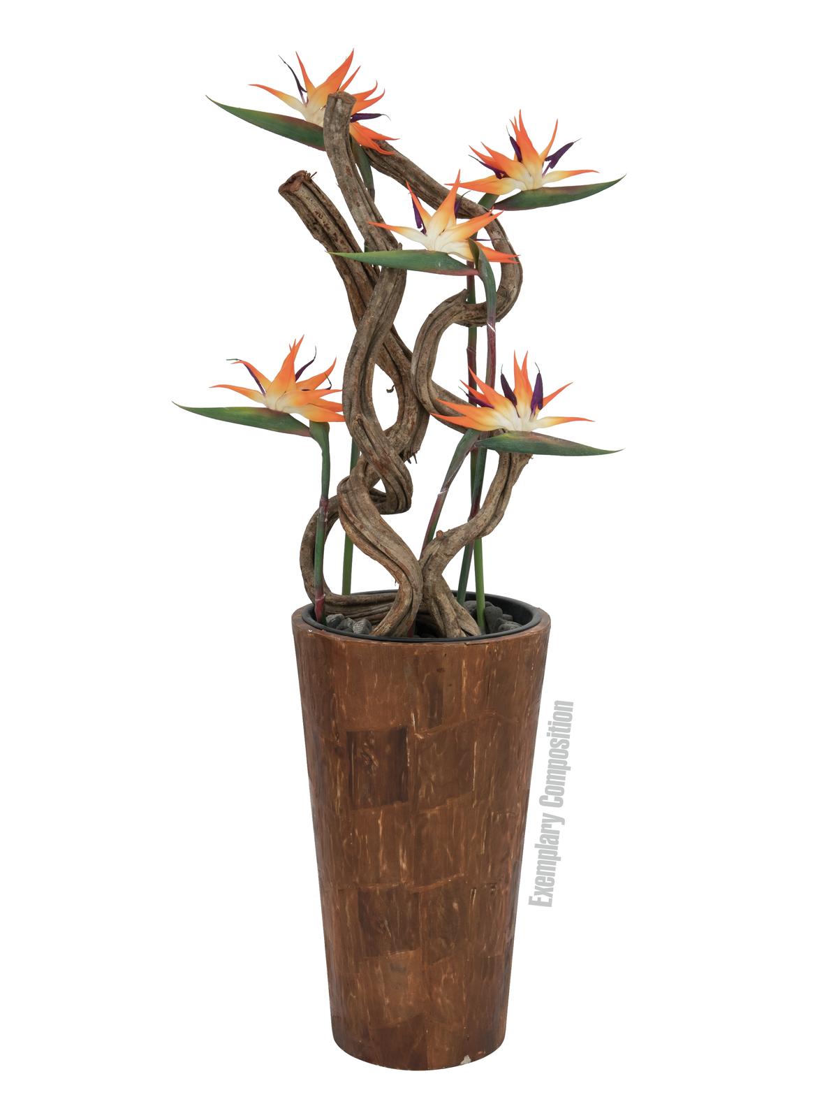 Strelície oranžová, 95 cm - Obrázek 3