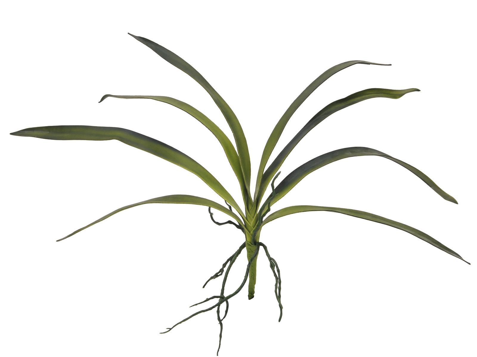 Orchidej listy, zelené, 45 cm