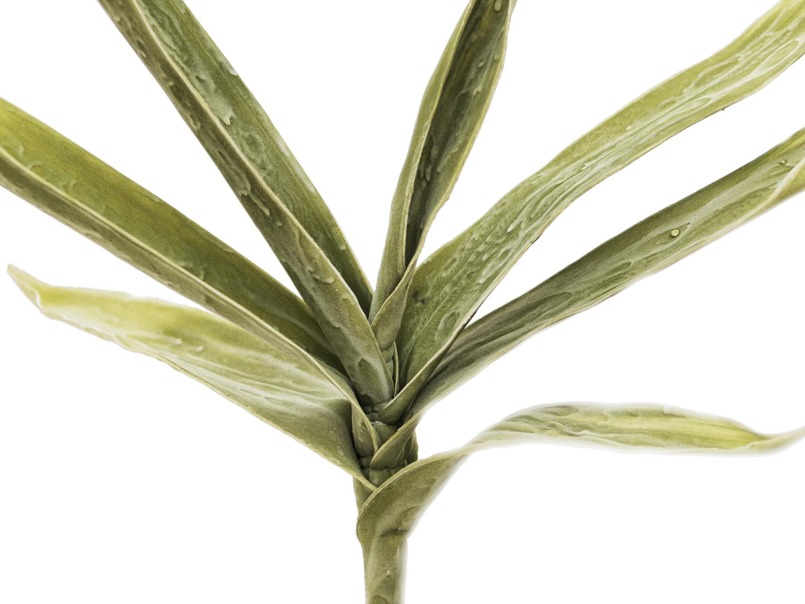 Větvička yucca (EVA), zelená, - Obrázek 3