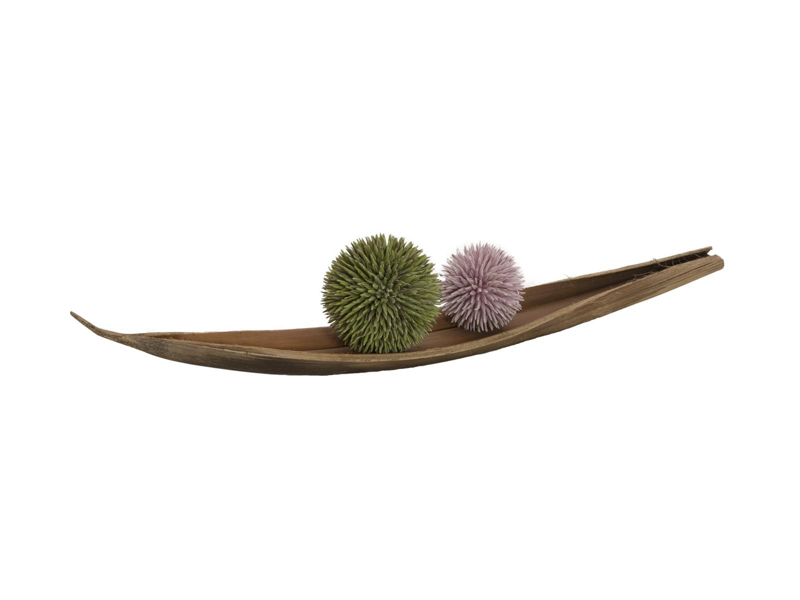 Sukulent koule (EVA), zelená, 20 cm - Obrázek 3