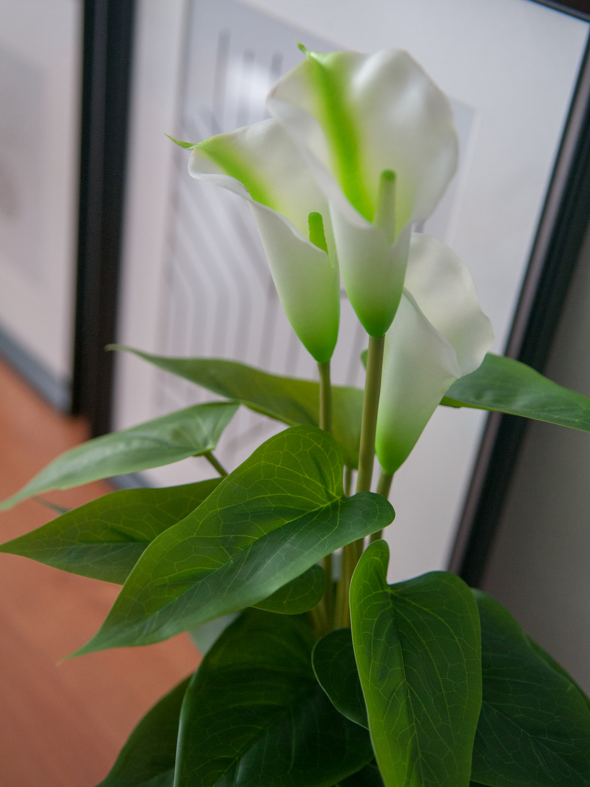 Mini kala, bílá, 43 cm - Obrázek 3