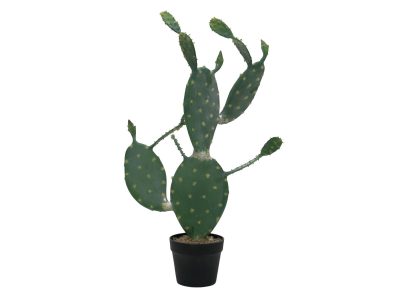 Kaktus Nopal, 76cm