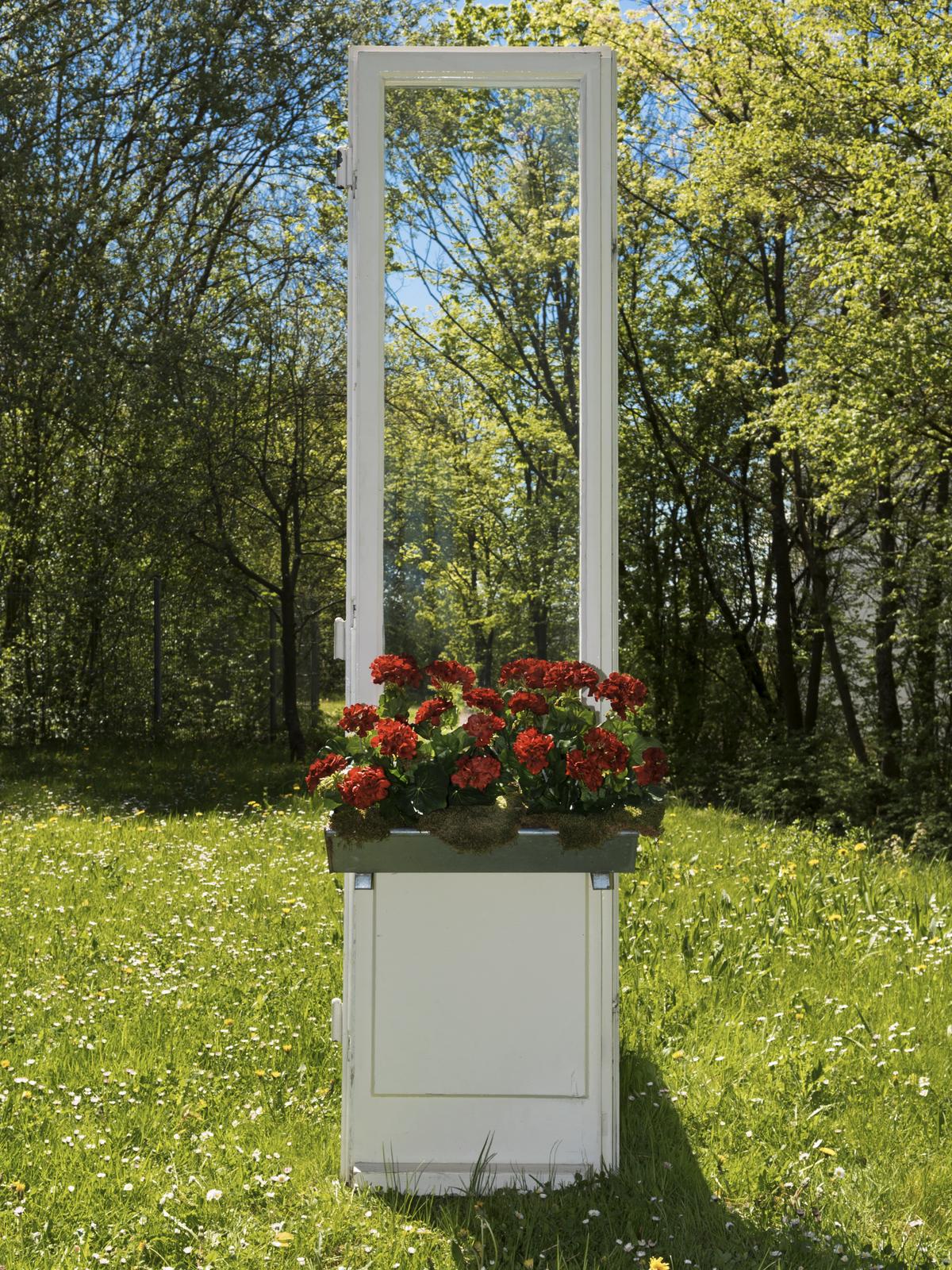 Europalms červená Pelargonie, 42 cm - Obrázek 4