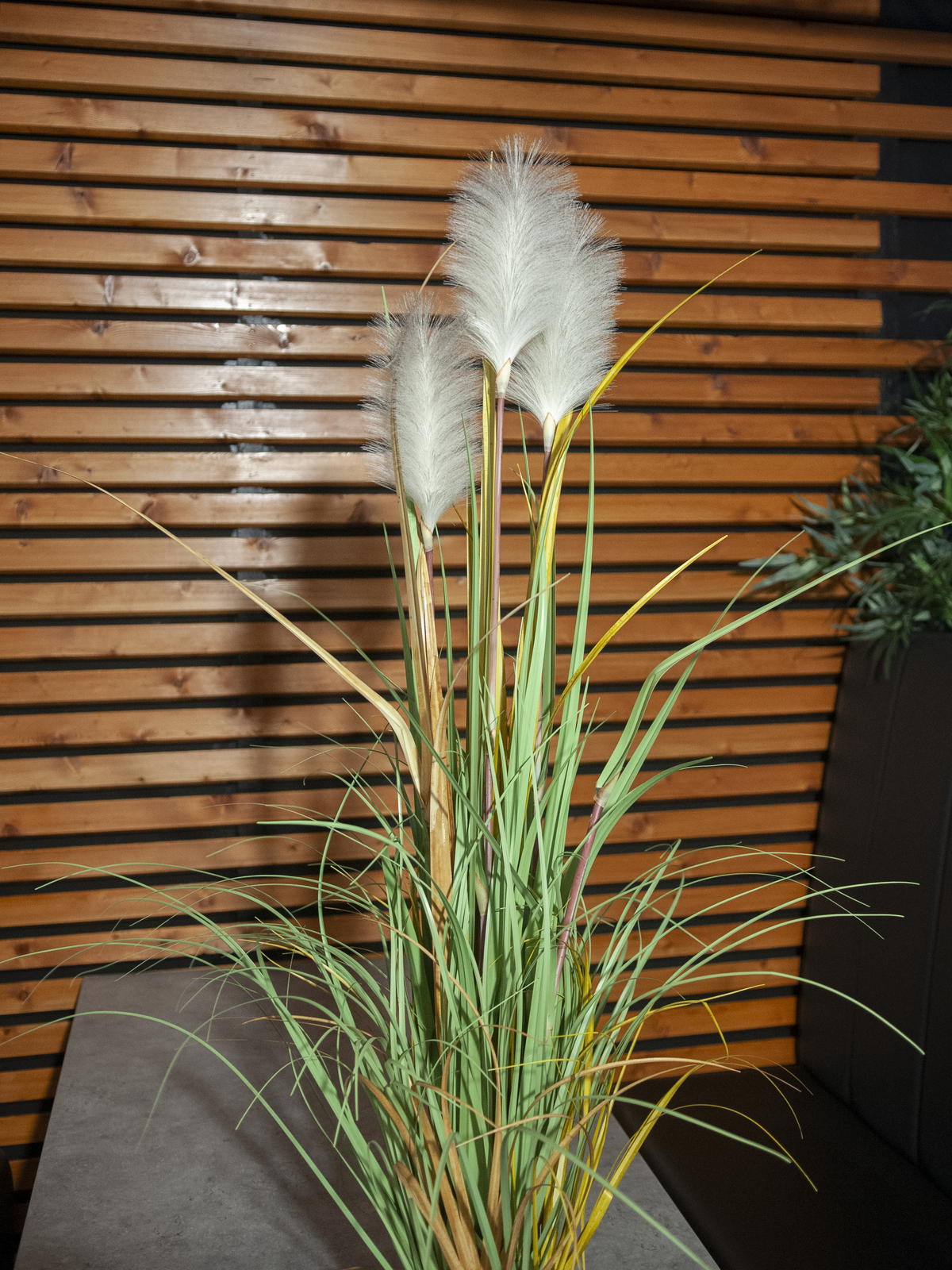 Tráva divoká, 120 cm - Obrázek 3