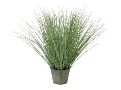 Okrasná tráva malá, 65cm