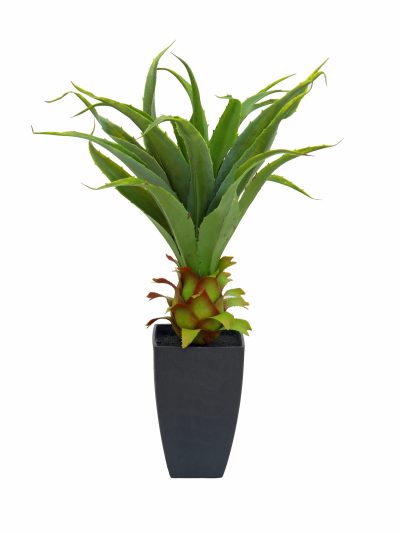 Agave kaktus s květináčem, 75 cm