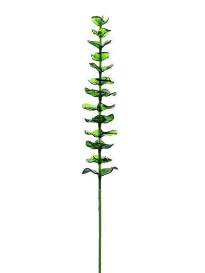Eukalyptus zelený - křišťálový, 81 cm, 12 ks