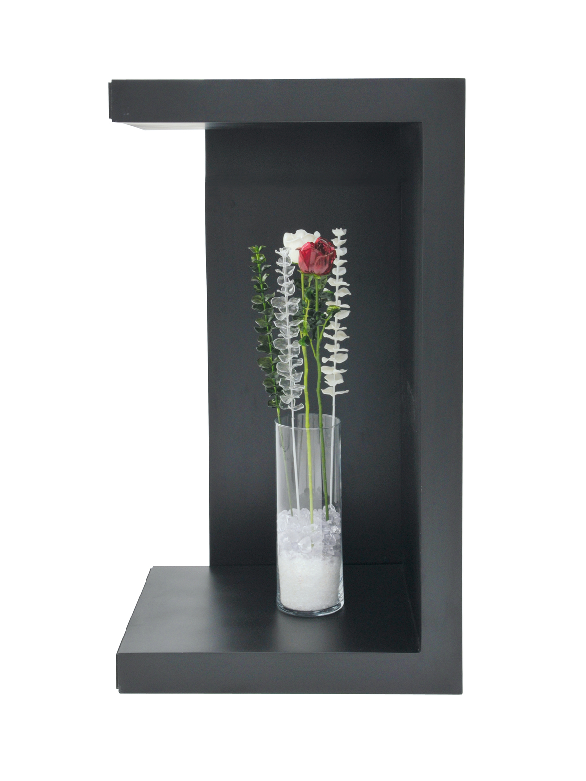 Eukalyptus červený - křišťálový, 81 cm, 12 ks - Obrázek 4