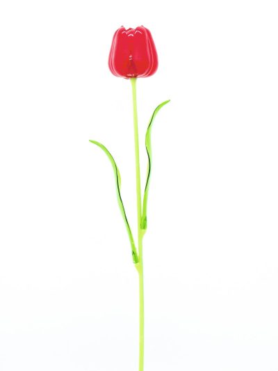 Tulipán červený – křišťálový, 61 cm, 12 ks