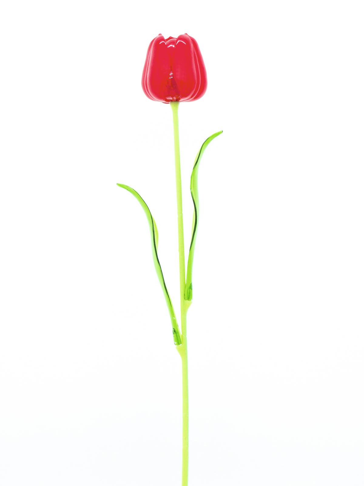 Tulipán červený – křišťálový, 61 cm, 12 ks