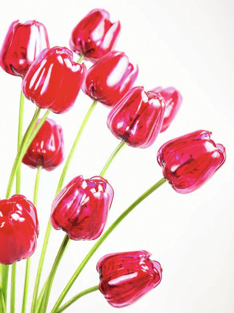 Tulipán červený – křišťálový, 61 cm, 12 ks - Obrázek 5