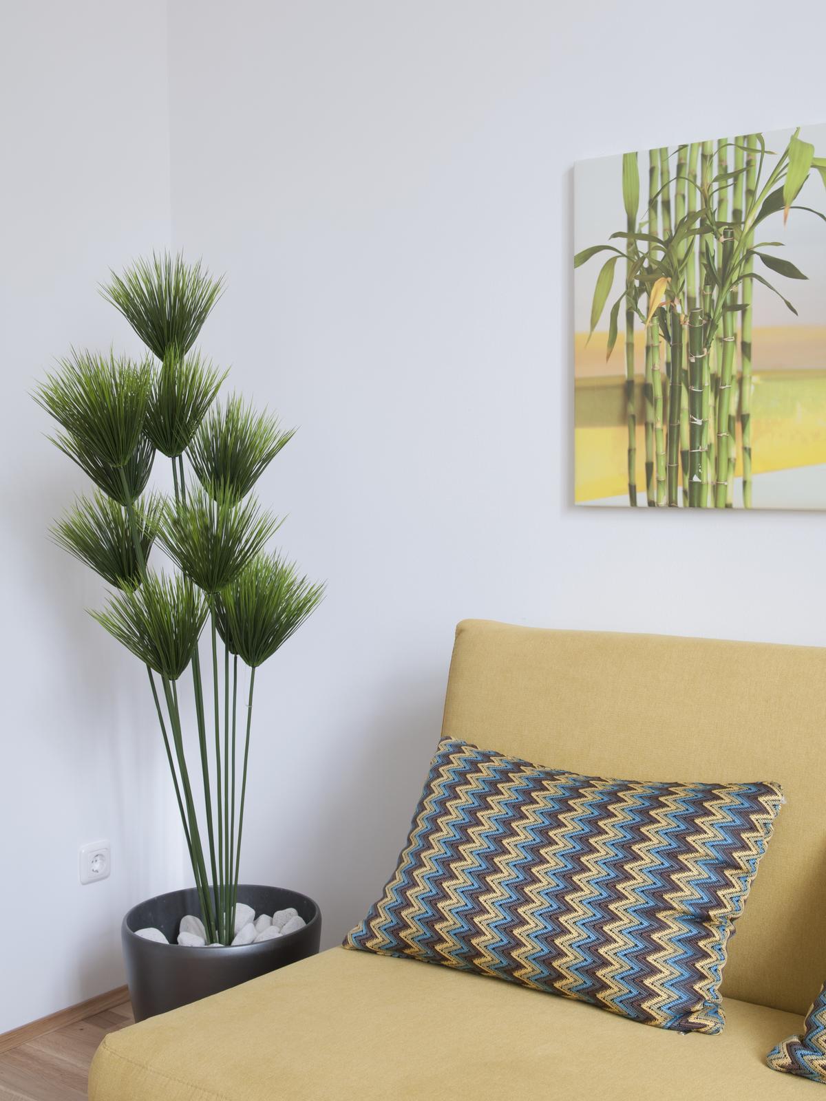 Papyrus palma, 150 cm - Obrázek 3