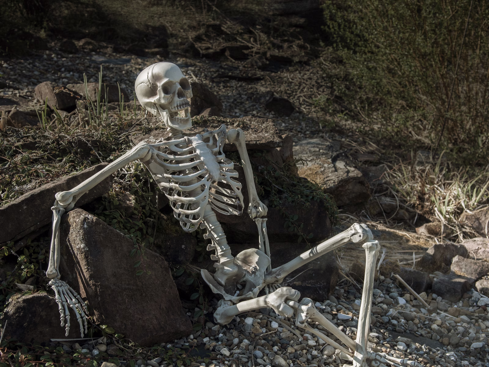 Halloween Kostra k zavěšení, 150 cm - Obrázek 10