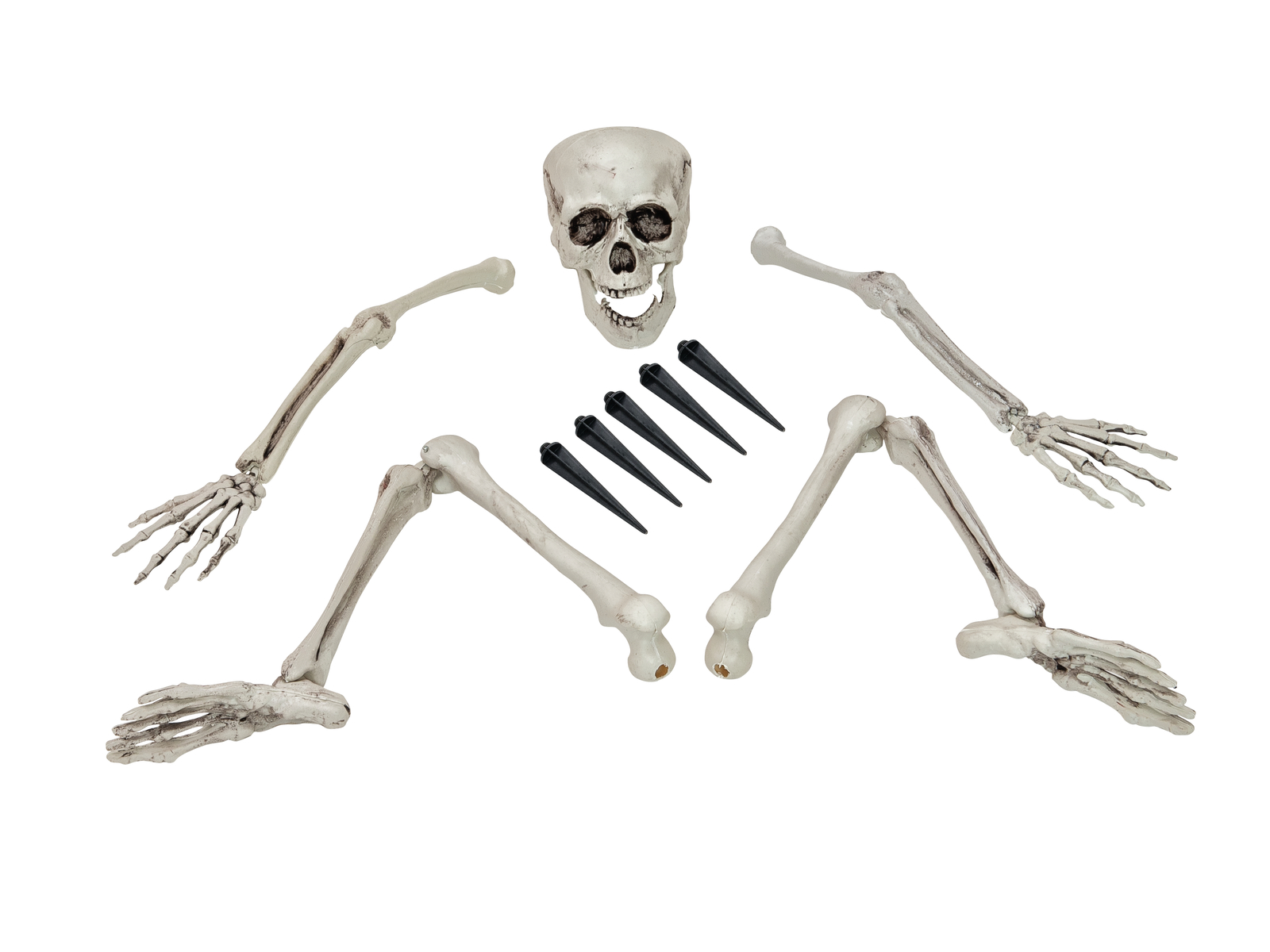 Halloween lebka a končetiny kostlivce