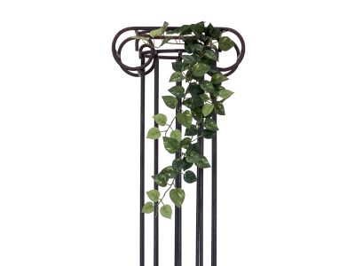 Pothos trs střední, 70 cm