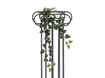 Filodendron trs střední, 70 cm