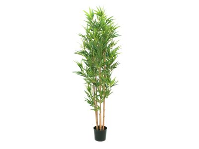 Europalms Bambus deluxe, 150cm