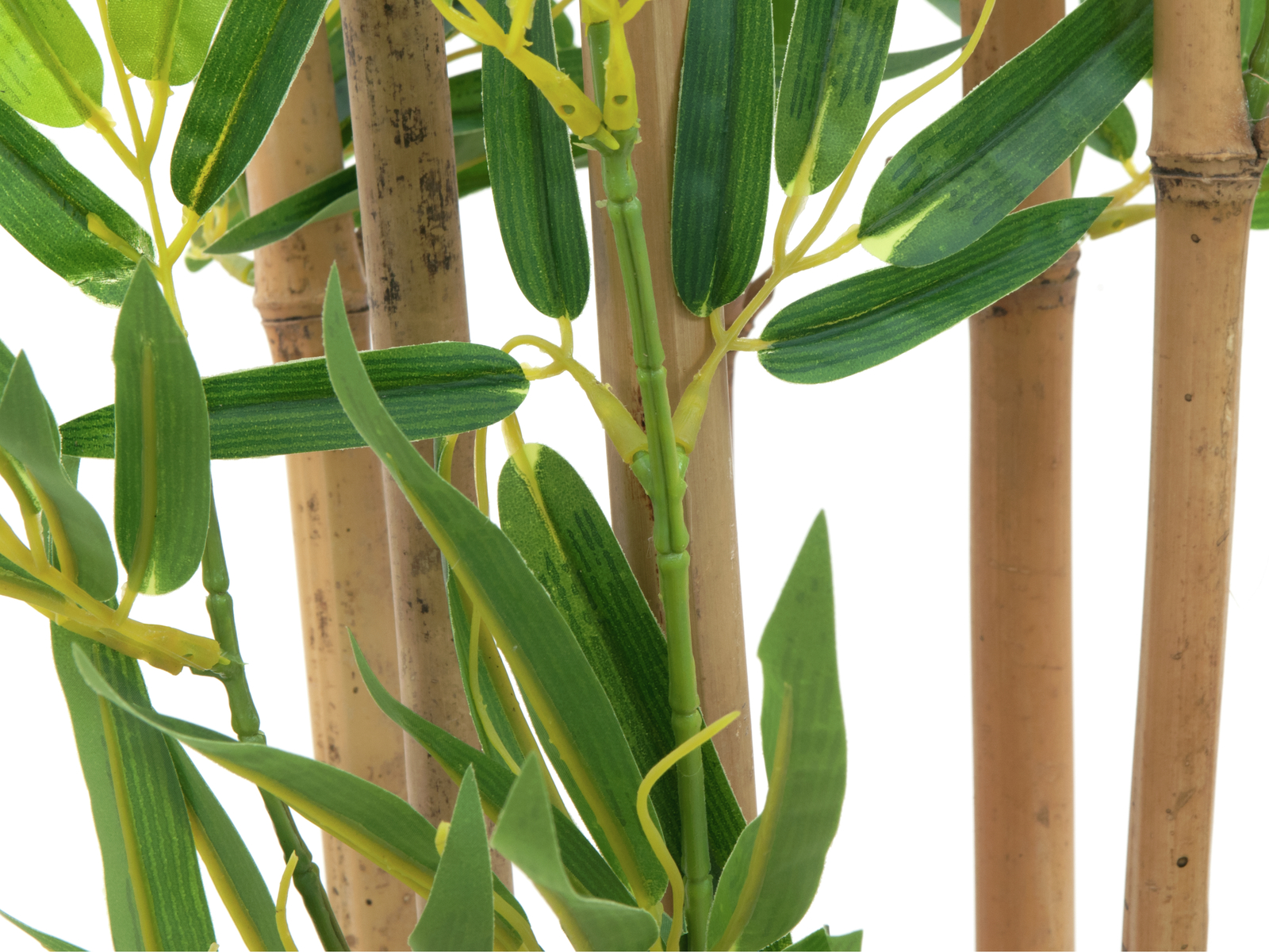 Europalms Bambus deluxe, 150cm - Obrázek 3