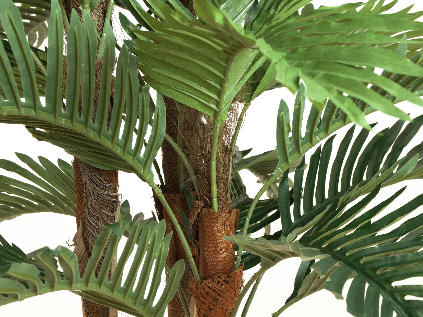 Kentia palma, 180cm - Obrázek 3