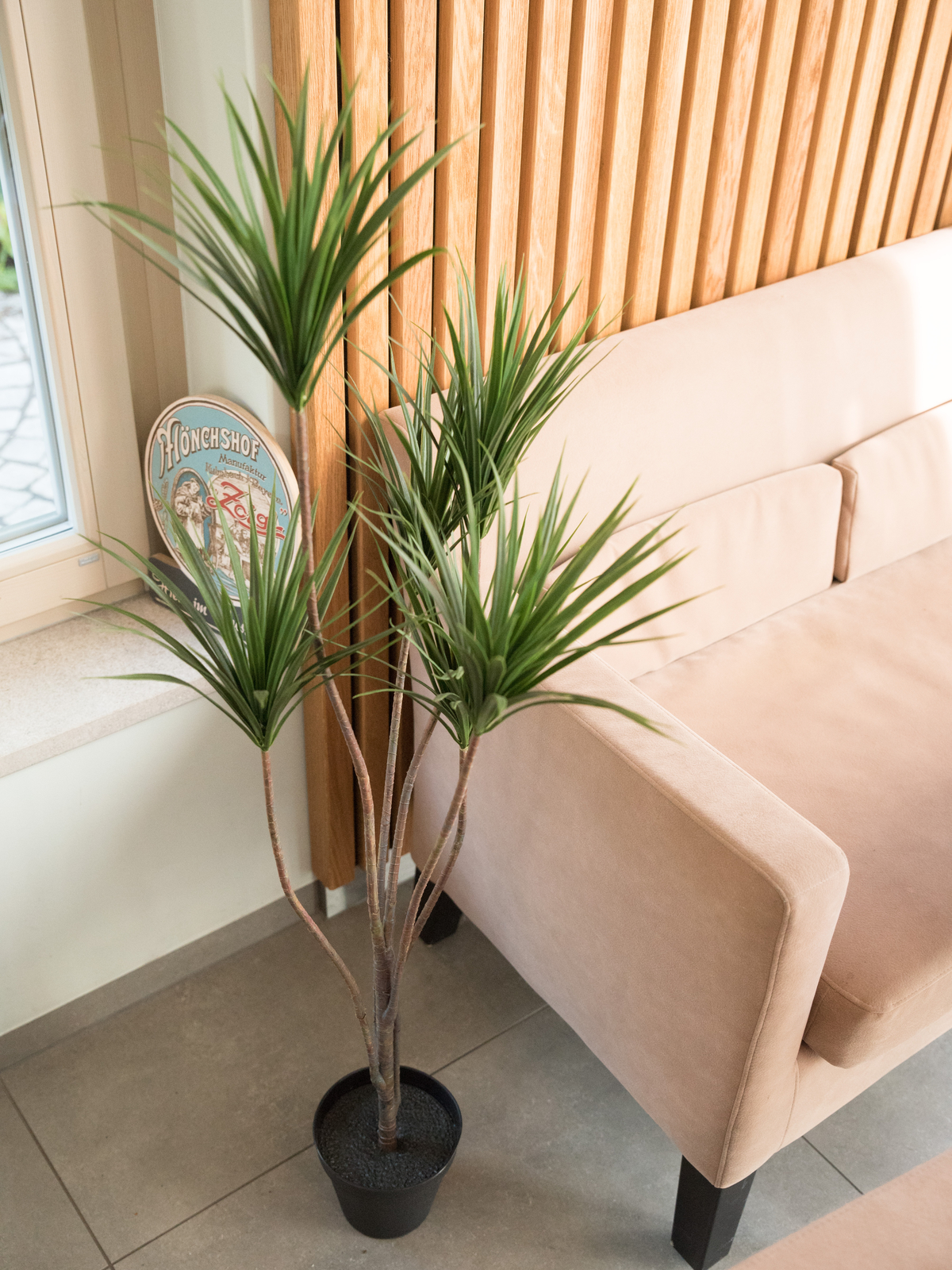 Palma Yucca, 130cm - Obrázek 6